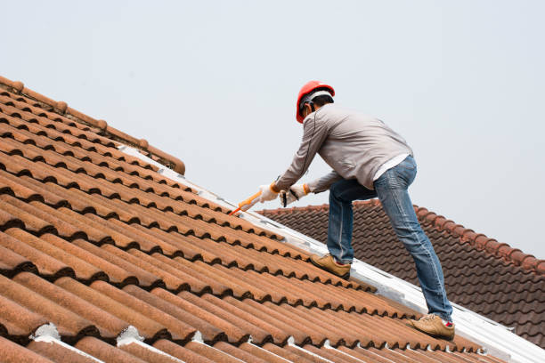 Best Solar Panel Roofing Installation  in Excelsior Springs, MO